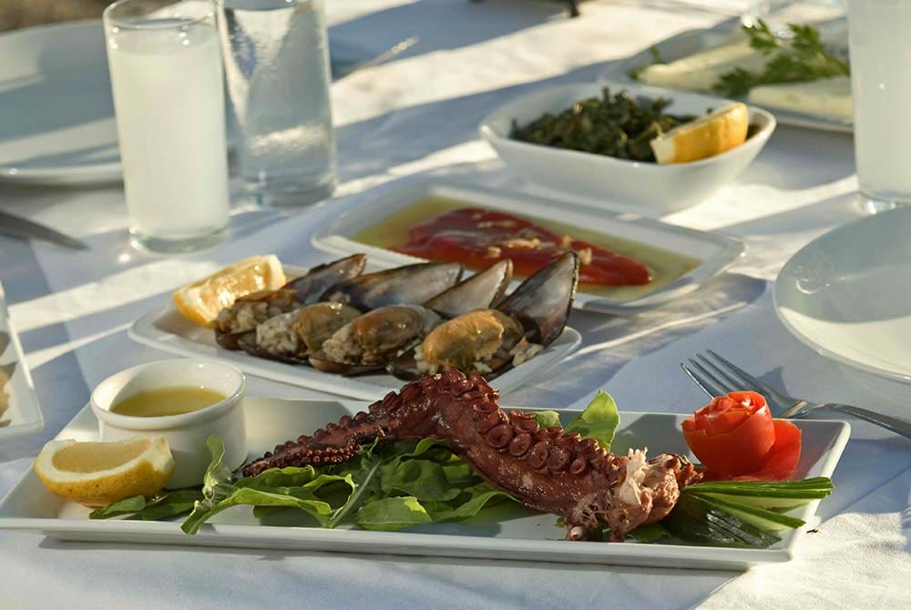 Meze and ouzo
